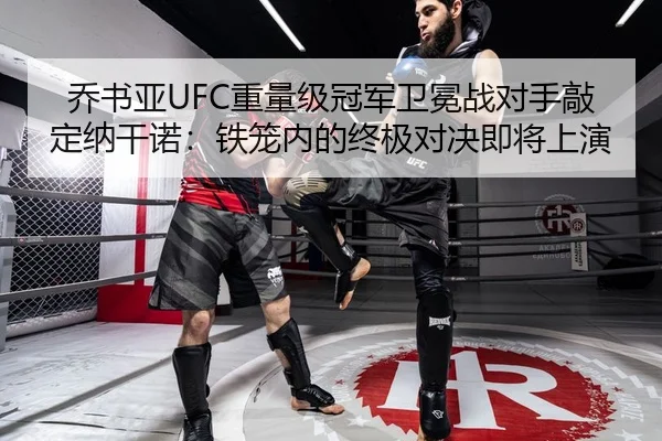 乔书亚UFC重量级冠军卫冕战对手敲定纳干诺：铁笼内的终极对决即将上演