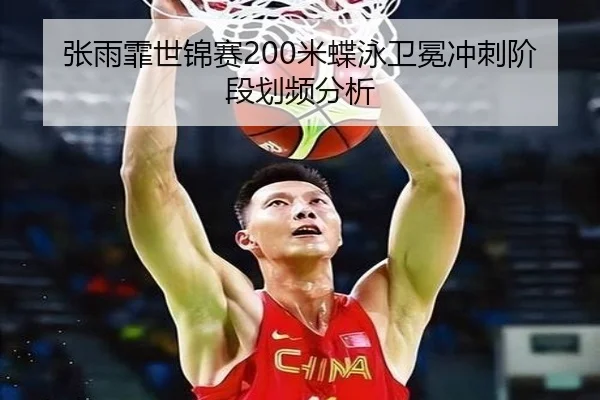 zhang-yu-fei-shi-jin-sai-mi-die-yong-wei-mian-chong-ci-jie-duan-hua-pin-fen-xi-2-406.jpg
