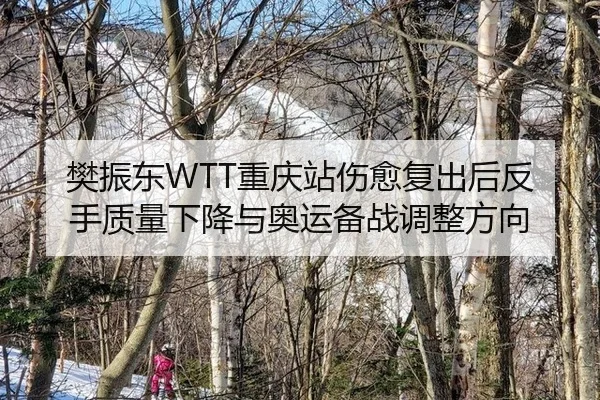 樊振东WTT重庆站伤愈复出后反手质量下降与奥运备战调整方向